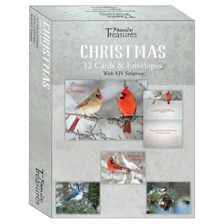 GO-GO Winter Birds Christmas Boxed Card, 12PK GO3324780